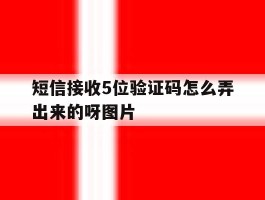 包含短信接收5位验证码怎么弄出来的呀图片的词条