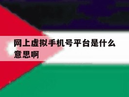 网上虚拟手机号平台是什么意思啊