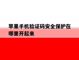 苹果手机验证码安全保护在哪里开起来