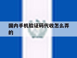 国内手机验证码代收怎么弄的