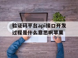 验证码平台api接口开发过程是什么意思啊苹果