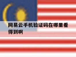 网易云手机验证码在哪里看得到啊