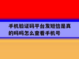 关于手机验证码平台发短信是真的吗吗怎么查看手机号的信息