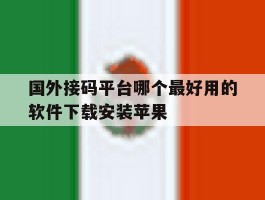 国外接码平台哪个最好用的软件下载安装苹果