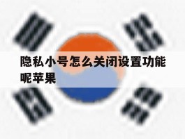 隐私小号怎么关闭设置功能呢苹果