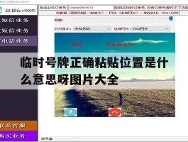 临时号牌正确粘贴位置是什么意思呀图片大全