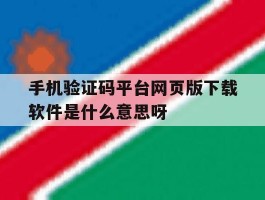 包含手机验证码平台网页版下载软件是什么意思呀的词条