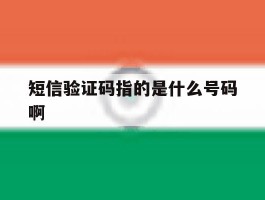 短信验证码指的是什么号码啊