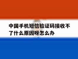 包含中国手机短信验证码接收不了什么原因呀怎么办的词条