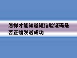 怎样才能知道短信验证码是否正确发送成功