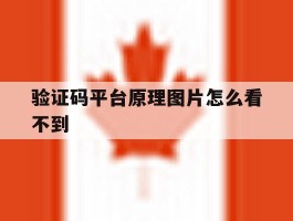 验证码平台原理图片怎么看不到