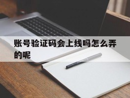 账号验证码会上线吗怎么弄的呢