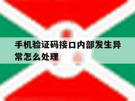 手机验证码接口内部发生异常怎么处理