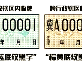临时号牌种类