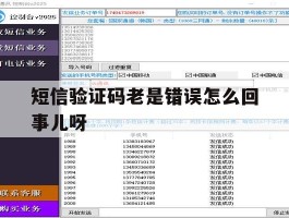短信验证码老是错误怎么回事儿呀