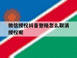 微信授权抖音登陆怎么取消授权呢