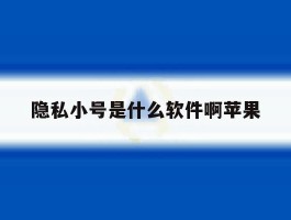 隐私小号是什么软件啊苹果