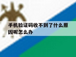 手机验证码收不到了什么原因呢怎么办的简单介绍