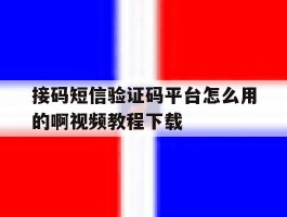 接码短信验证码平台怎么用的啊视频教程下载的简单介绍