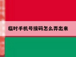 临时手机号接码怎么弄出来