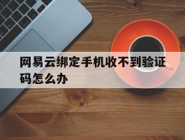 网易云绑定手机收不到验证码怎么办