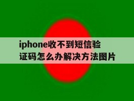 包含iphone收不到短信验证码怎么办解决方法图片的词条