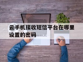 云手机接收短信平台在哪里设置的密码