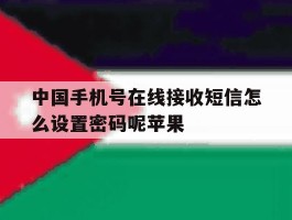 中国手机号在线接收短信怎么设置密码呢苹果的简单介绍
