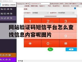 网站验证码短信平台怎么查找信息内容呢图片的简单介绍