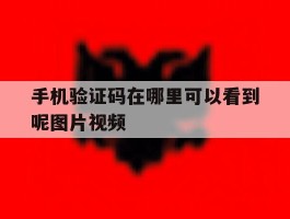 关于手机验证码在哪里可以看到呢图片视频的信息