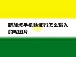 包含新加坡手机验证码怎么输入的呢图片的词条