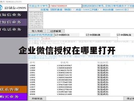 企业微信授权在哪里打开