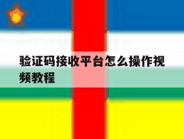 验证码接收平台怎么操作视频教程