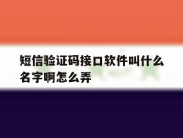 短信验证码接口软件叫什么名字啊怎么弄