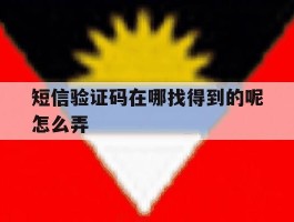 短信验证码在哪找得到的呢怎么弄