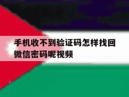 手机收不到验证码怎样找回微信密码呢视频