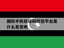 关于国际手机验证码短信平台是什么意思啊的信息