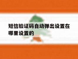 短信验证码自动弹出设置在哪里设置的