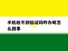 手机收不到验证码咋办呢怎么回事