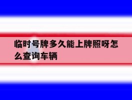 临时号牌多久能上牌照呀怎么查询车辆