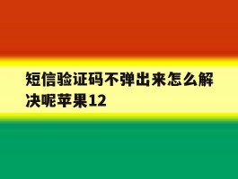 短信验证码不弹出来怎么解决呢苹果12