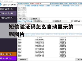 短信验证码怎么自动显示的呢图片