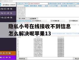 隐私小号在线接收不到信息怎么解决呢苹果13