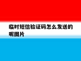 临时短信验证码怎么发送的呢图片