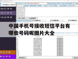包含中国手机号接收短信平台有哪些号码呢图片大全的词条
