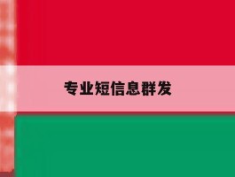 专业短信息群发