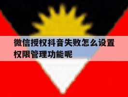 微信授权抖音失败怎么设置权限管理功能呢