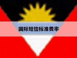 国际短信标准费率