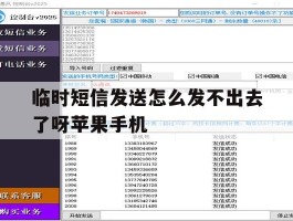 临时短信发送怎么发不出去了呀苹果手机