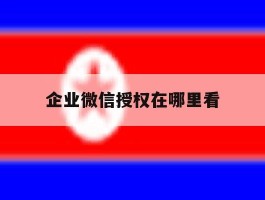 企业微信授权在哪里看